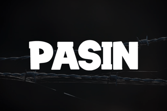 Pasin Font Review